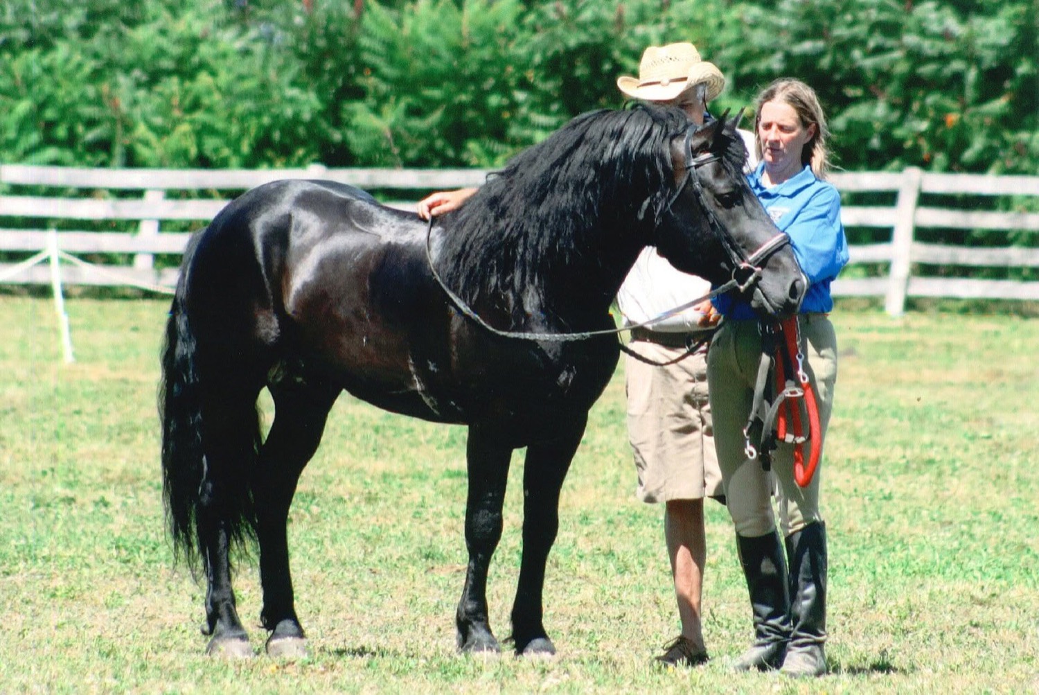 A rescued horse and handler at Miracle Farm